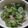 かりあん's cooksnap of when they made ばあばの即席☆和風マリネ<梅肉合え>.