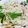 クックHDD0HH☆'s cooksnap of when they made シラスのせ塩ラーメン.