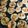mamajiro's cooksnap of when they made おからいわしハンバーグ.