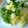 leona127's cooksnap of when they made ♪春キャベツとクレソンのサラダ♪.