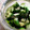 0nohaha's cooksnap of when they made 我が家のやみつき浅漬け。.