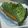 葛葉柚葉's cooksnap of when they made ふわふわしっとり＊抹茶チーズモンブラン＊.