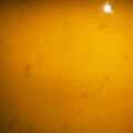 pureベティ's cooksnap of when they made 簡単！おいしい♪かぼちゃスープ.
