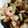 やったぜ！なみちゃん's cooksnap of when they made 海老のアヒージョ.
