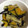 クックANLLO1☆'s cooksnap of when they made かぼちゃピーマン、なすの揚げ浸し☆.