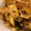 Kitecat's cooksnap of when they made 旦那さん絶賛♪普通のしょうが焼き.