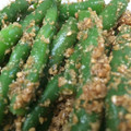 さい♪♪'s cooksnap of when they made 簡単　いんげんの胡麻和え.