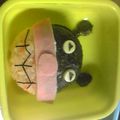 カズカズｍａｍａ's cooksnap of when they made キャラ弁　バイキンマン編.