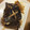 いっこJJ's cooksnap of when they made 簡単＊カレイの煮付け.