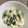 おこさんママ's cooksnap of when they made きゅうりと豆腐の梅サラダ.