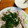 ★jing★'s cooksnap of when they made 冷しゃぶ　ヨーグルトだれ柚子こしょう風味.