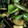 クックZ80X50☆'s cooksnap of when they made 豚と夏野菜のピリ辛炒め.