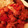 クックG1X7YM☆'s cooksnap of when they made 鶏むねと大豆のダイエットトマト煮込み.