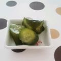 のあぷ～'s cooksnap of when they made 塩ヨーグルトの浅漬け.