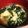 悠輝（ゆき）'s cooksnap of when they made 超簡単！すぐできるわかめスープ.