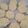 ひっとん12345's cooksnap of when they made ダイエット☆おから100％クッキー.