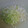 サーフブレイド's cooksnap of when they made 簡単　長ネギのみじん切り.