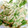 まなわかこじ's cooksnap of when they made 絹さやのごまマヨ和え♪.