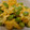 クックQYKJO3☆'s cooksnap of when they made 簡単！枝豆とチーズの卵炒め.