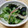 くしまな's cooksnap of when they made さっぱり酢の物.