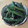 私は苺大福's cooksnap of when they made さやいんげんの胡麻和え.