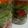 なめこ好き's cooksnap of when they made 冷しゃぶでジャーサラダ☆暑い日のお弁当に.