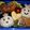 ちはぽ。's cooksnap of when they made ☆キラキラ☆七夕キャラ弁.