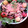 おーしげ's cooksnap of when they made なすとなめこのツナおろし和え☆中華風.