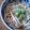 ａｋｉａｋｉ's cooksnap of when they made ☆簡単！レンジで速攻うどん☆.
