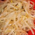 ワンコ＆ハニー's cooksnap of when they made 簡単‼もやしのナムル.
