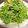 ゆうなぎくぅ's cooksnap of when they made 水菜ともやしのナムル.