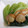 愛うらら's cooksnap of when they made 青梗菜とホタテのさっと炒め♪.