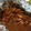 hyperaika's cooksnap of when they made イカのわた焼き.