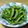かまどの煙's cooksnap of when they made お水1カップ！エコで美味しい枝豆のゆで方.