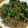 クックLJED8W☆'s cooksnap of when they made *ほうれん草の挽肉炒め*.