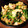 クック7HH0OM☆'s cooksnap of when they made 簡単！栄養満点！豆苗と豚肉の塩レモン炒め.