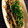 mszxxx's cooksnap of when they made ◆糖尿病のおかず◆しめじの生姜炒め.
