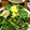 ないすばでぃ's cooksnap of when they made 豚肉とニラと卵のオイスターソース炒め.