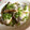 まじゅじゅ's cooksnap of when they made 大人のおつまみ＊鰯の山椒・塩から揚げ＊.
