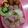 たにたーに's cooksnap of when they made お弁当に☆魚肉ソーセージでカービィ☆.