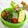 ◆◇Wtiti＊◇◆'s cooksnap of when they made 簡単＊いんげんのチーズ焼き.