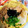 seka854's cooksnap of when they made 納豆とツナと大根おろしの冷製パスタ.