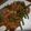 abumix's cooksnap of when they made 牛肉とにんにくの芽炒め.