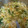 Pinokordm's cooksnap of when they made 切干大根のスープ　♪大和市学校給食.