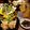 ひっこ's cooksnap of when they made たらの芽・こごみ・こしあぶらの山菜天ぷら.