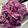 ｂｅｒｒｙ＋'s cooksnap of when they made Oh！Purple♪紫キャベツマリネ.