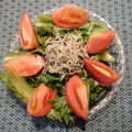 プルンバゴ's cooksnap of when they made しっとりレタスとしらすのサラダ.