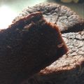 ❁﻿あーぴー❁﻿'s cooksnap of when they made ◆チョコなし★ココアでガトーショコラ◆.