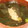 ぷのぷの's cooksnap of when they made ☆エコ葱タレで焼肉屋さんのワカメスープ☆.