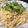 はるちっこりあん's cooksnap of when they made シーザードレッシングで時短たらこスパ.